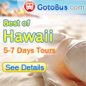 GotoBus