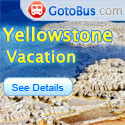GotoBus