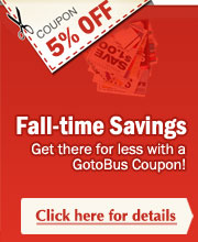 Promo Code and Coupons