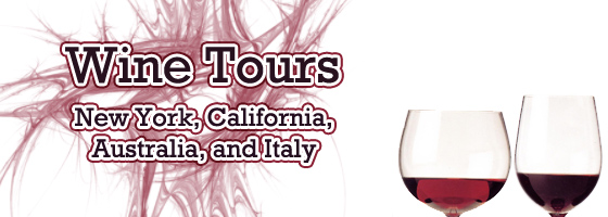 Tours starting from only $38!