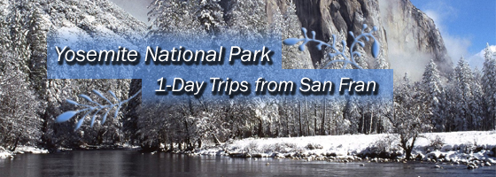 Sightseeing Trips from SF $137+