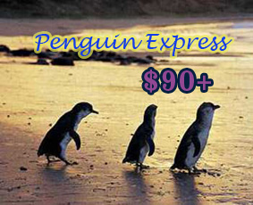 Penguin Express