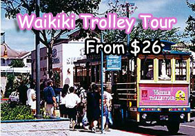 Waikiki Trolley Tour