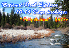 National Park Explorer