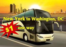 New York to Washington, DC bus