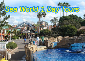 San Diego Sea World Tours