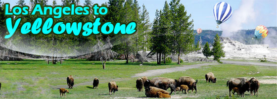 7-16 Day Vacations $398