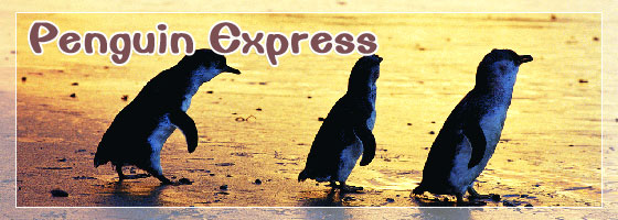 Phillip Island in Victoria - Home of the Little Penguin.
