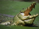 http://www.gotobus.com/images/v5679/s129/fl_small.gif