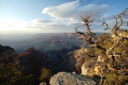 Grand Canyon Tours
