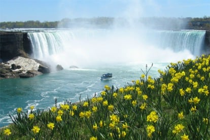 Niagara Falls Tours