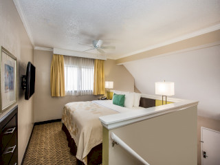 Orlando Hotels