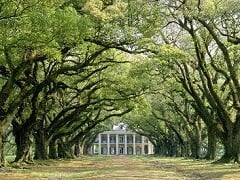 <center>Atlanta Tours</center>