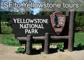 SF to Yellowstone 6-10 Days Tours